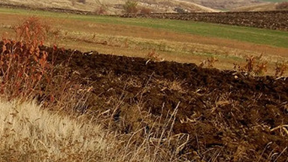 Fostul director adjunct al APIA, arestat la domiciliu