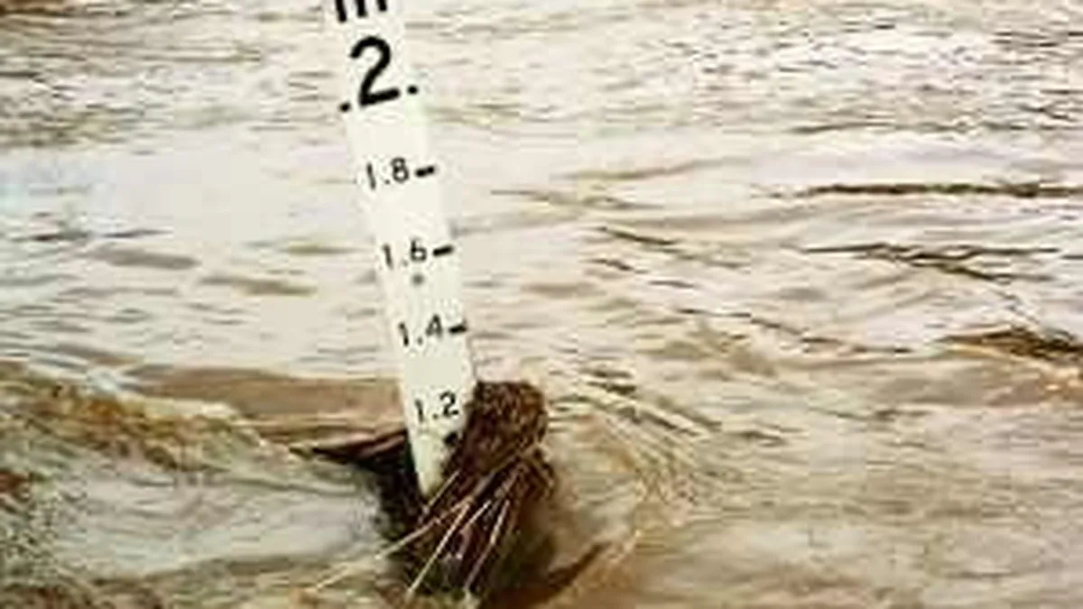 Amnistie fiscala pentru proprietarii terenurilor afectate de calamitati