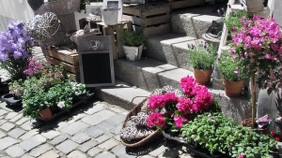 De ce nu vor mai fi acordate fonduri UE pentru frizerii, florarii sau parcuri