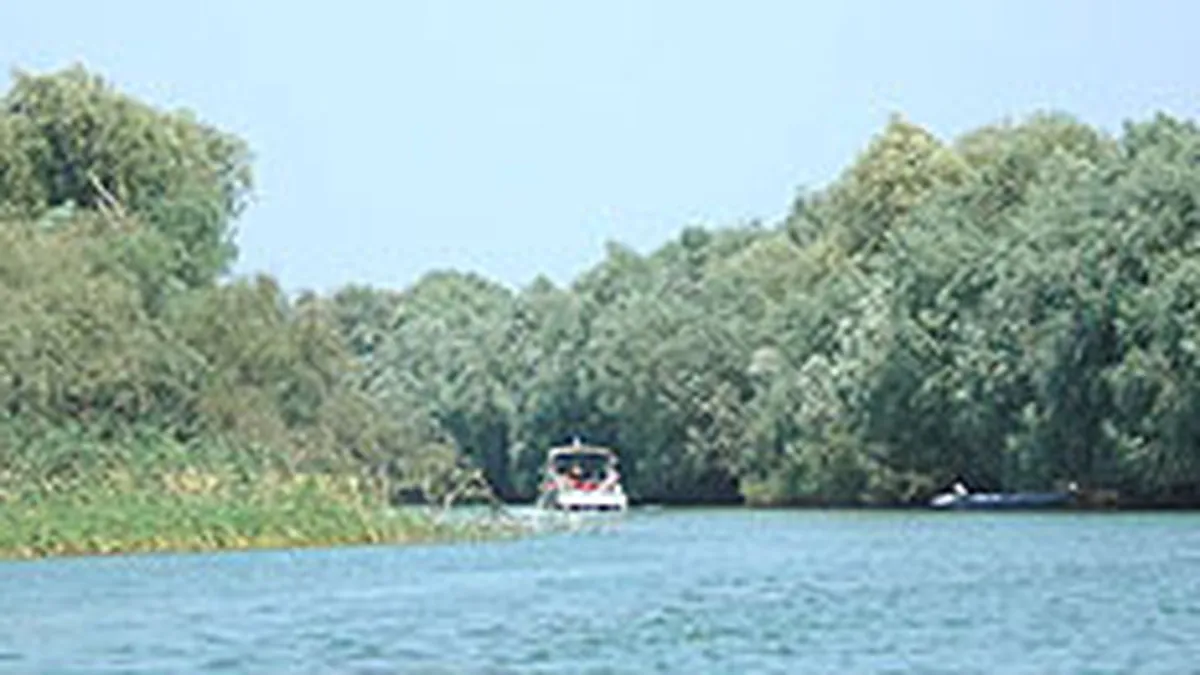 Razboi pentru plajele salbatice din Delta Dunarii