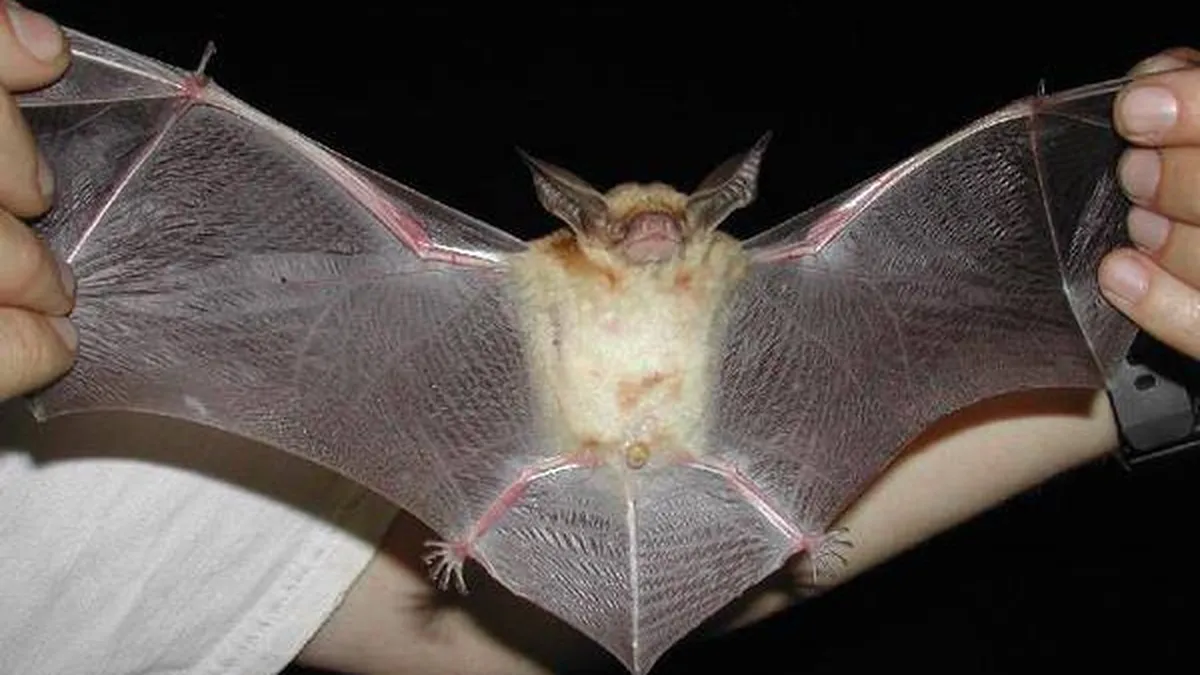 Pe urmele lui Dracula: Locuri mai putin cunoscute din Romania pentru vanatorii de vampiri