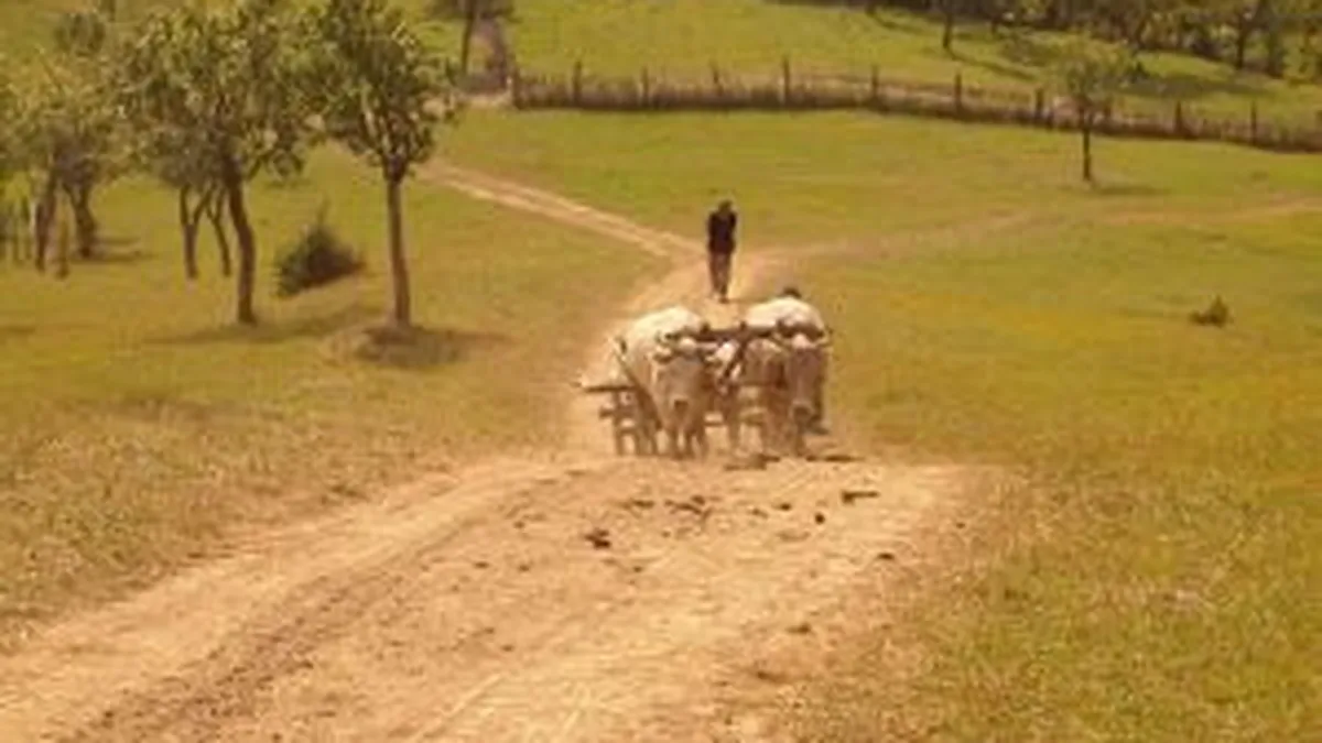 Peisaje idilice: 3 sate din Tara Fagarasului pe care sa le vizitezi intr-un weekend de primavara (Foto)