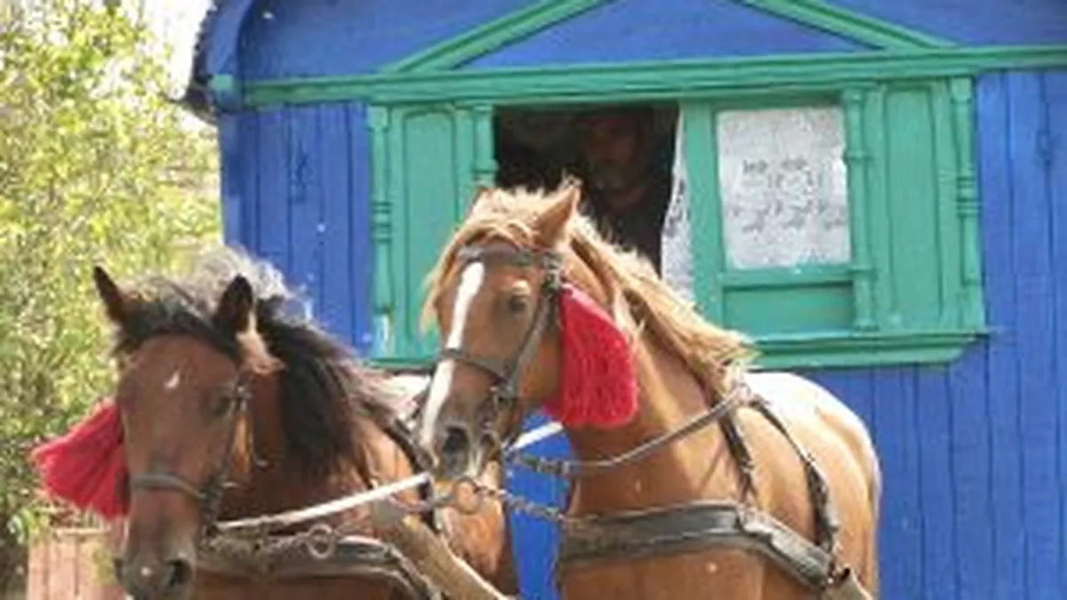 Romii vor avea televiziune