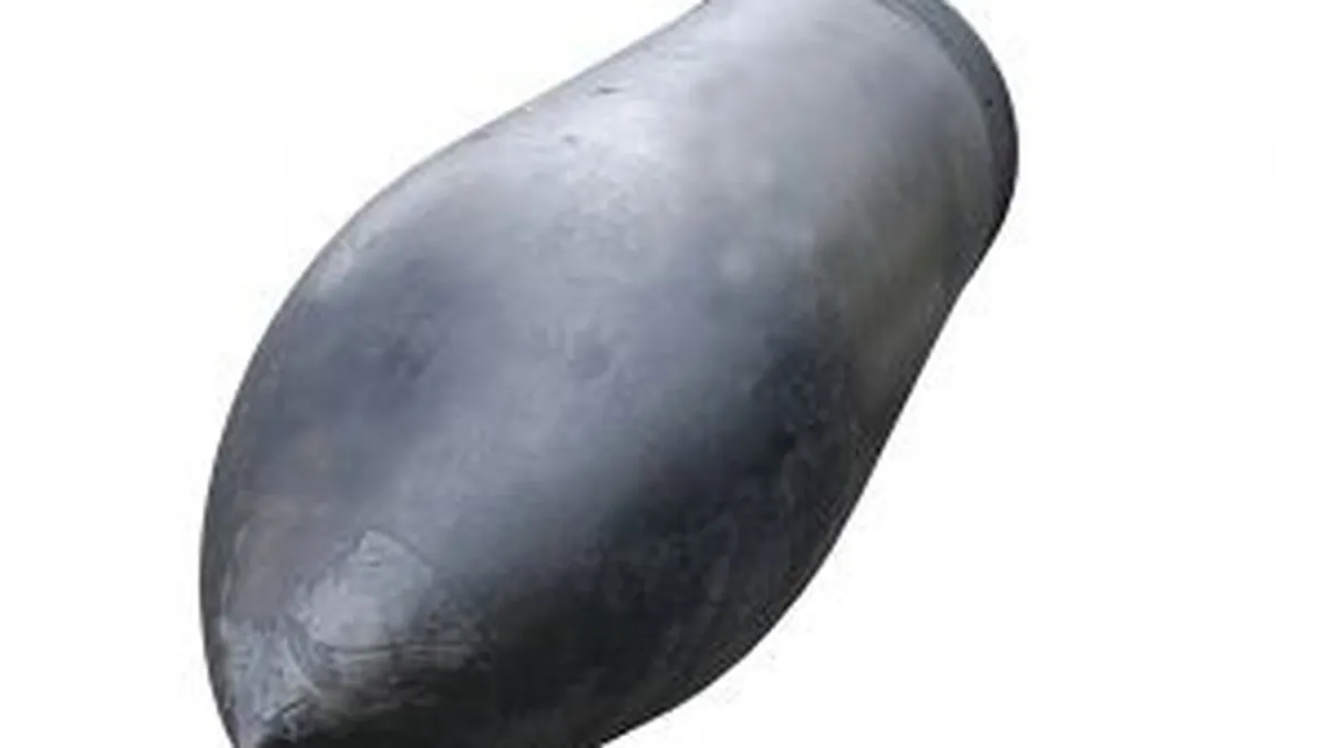 MApN vrea sa achizitioneze 18 torpile usoare antisubmarin