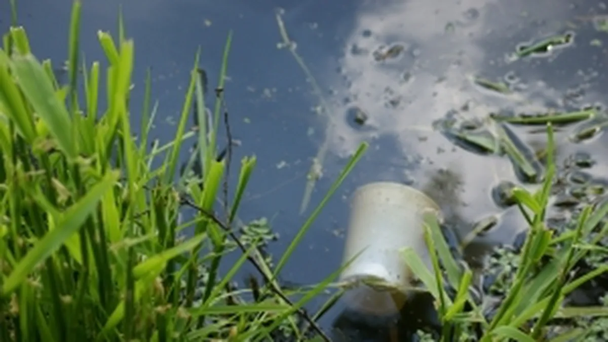 De ce risca Romania sa intre in procedura de infringement pe mediu