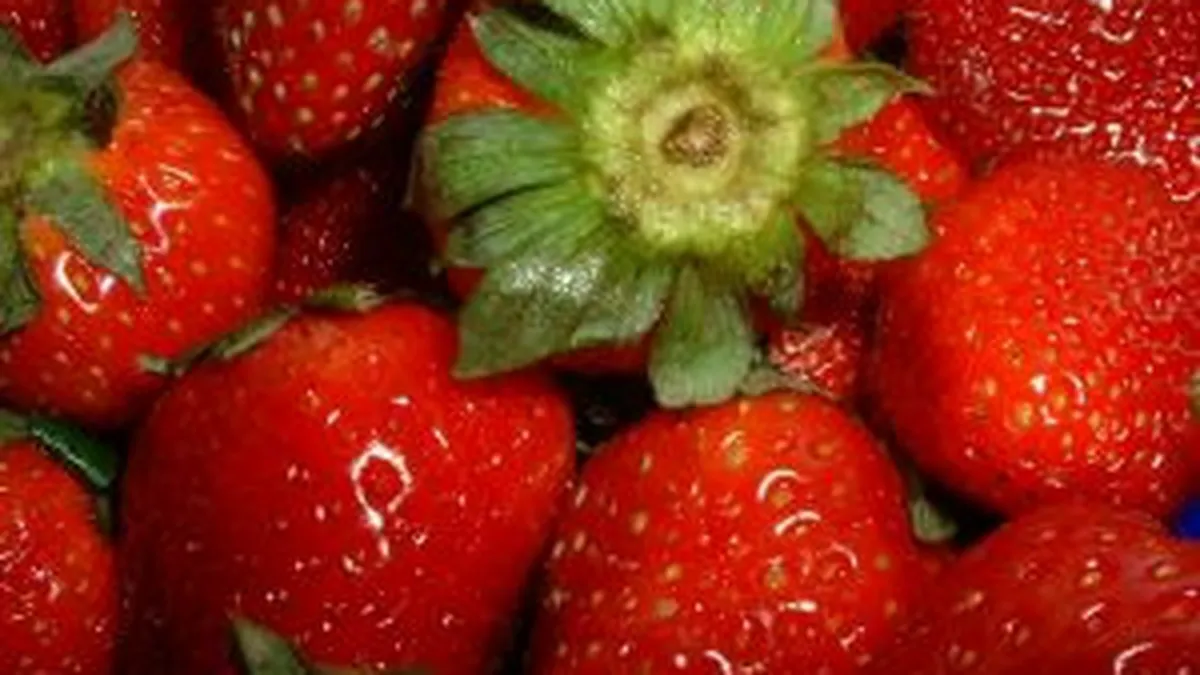 Capsunarii din Spania trimit tot mai putini bani in tara. Ce comunitati de romani trimit mai multi