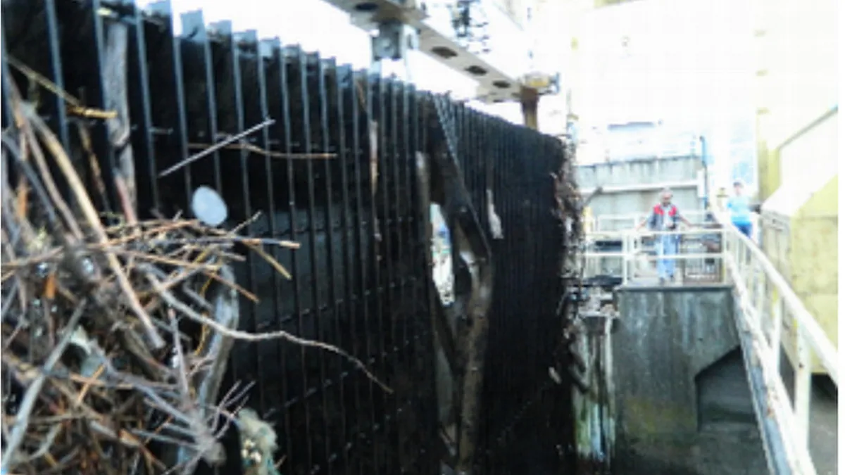 Cum blocheaza copacii, anvelopele si PET-urile activitatea Hidroelectrica (Foto)