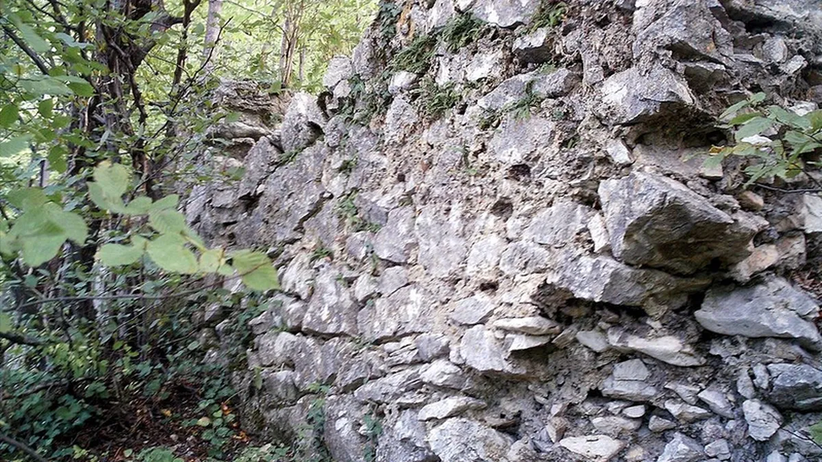 Cetate istorica din Romania scoasa la vanzare pentru ca aduce doar pierderi