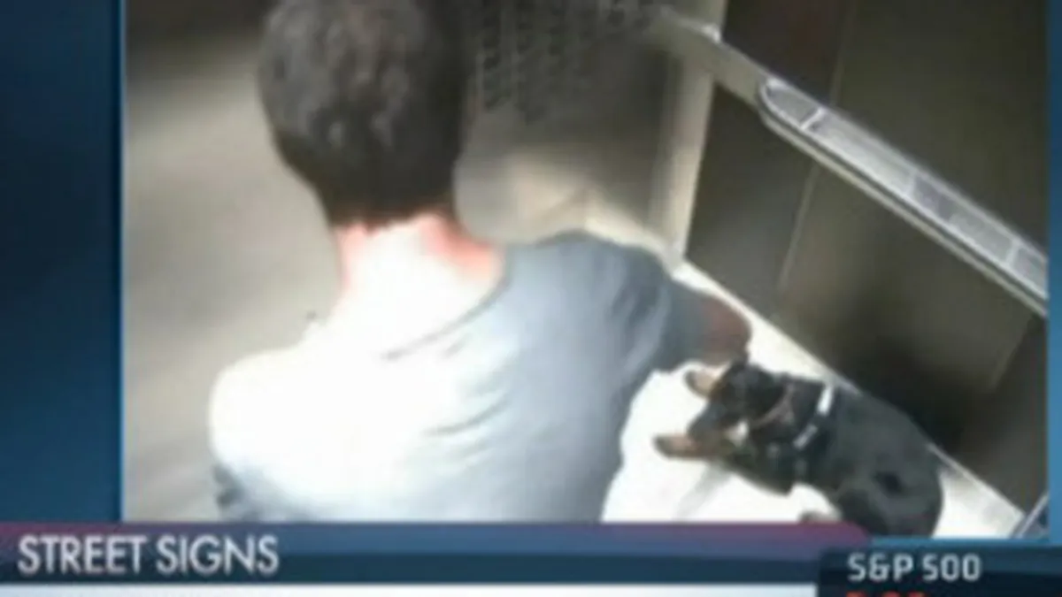 Puterea social media: Ce a patit un CEO, dupa ce a fost filmat cum lovea un catel