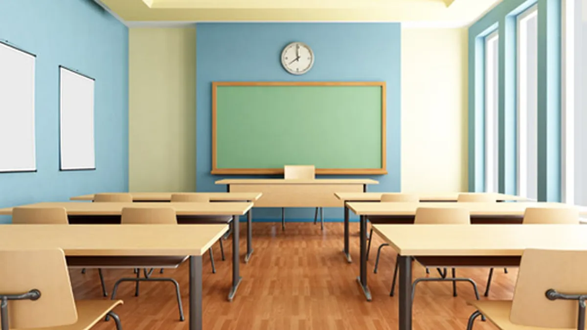 Antreprenoriatul si orientarea profesionala pot fi studiate ca materii optionale de catre elevi