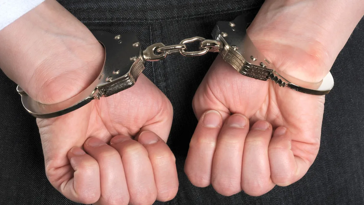 Dosarul retrocedarilor: Andrei Hrebenciuc a fost retinut de procurorii DNA