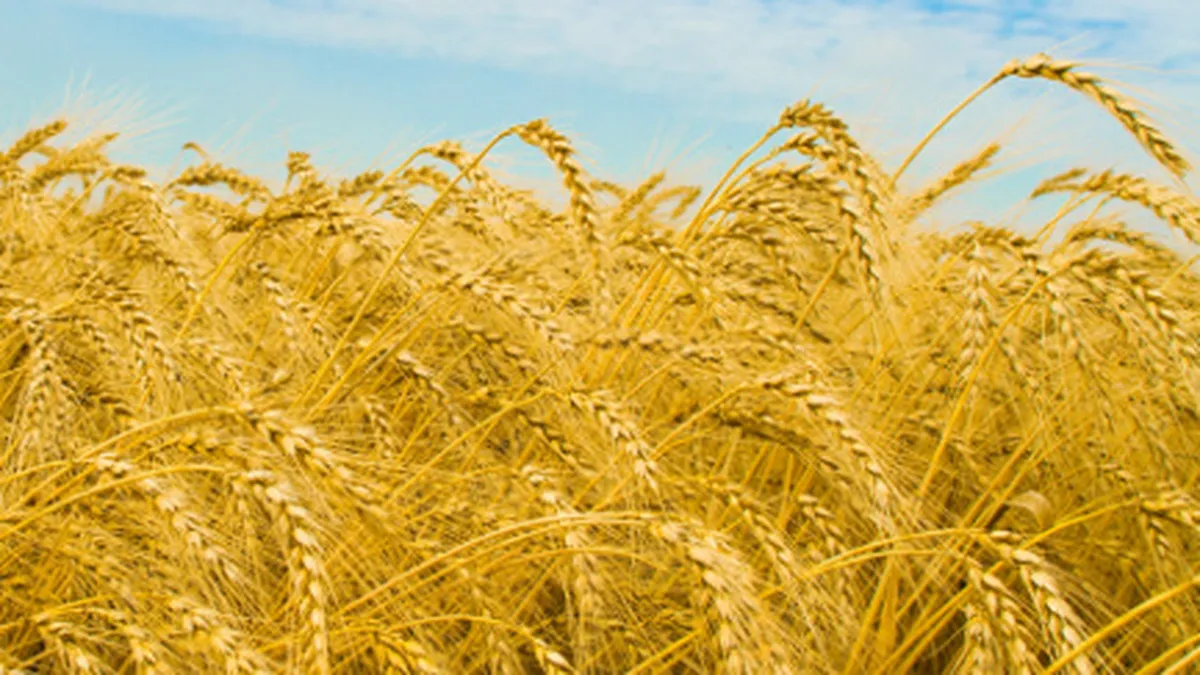 Greaua mostenire a comunismului: Cum vor strainii sa scoata bani din pamantul romanesc