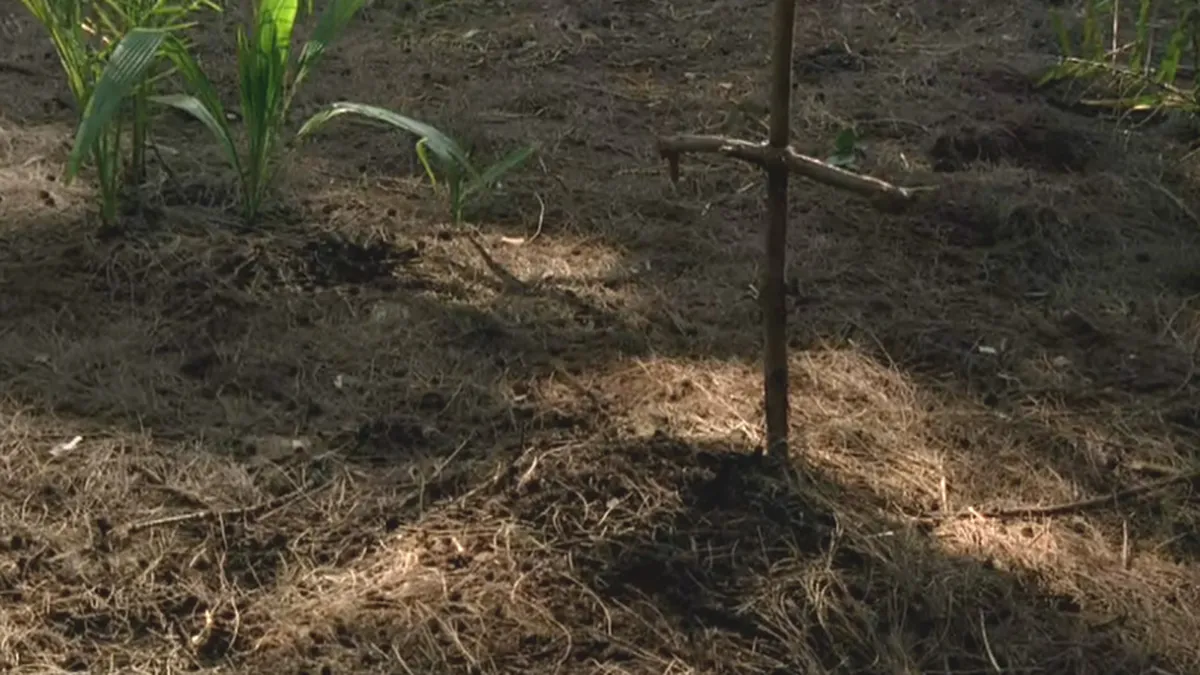 Genii care au murit in saracie crunta