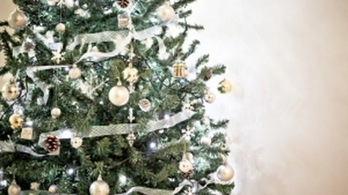 Cat va costa anul acesta un Mos Craciun care vine la firma