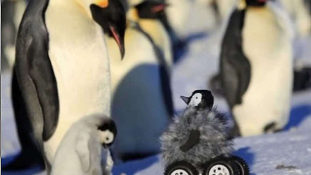 10 roboti care iti pandesc jobul