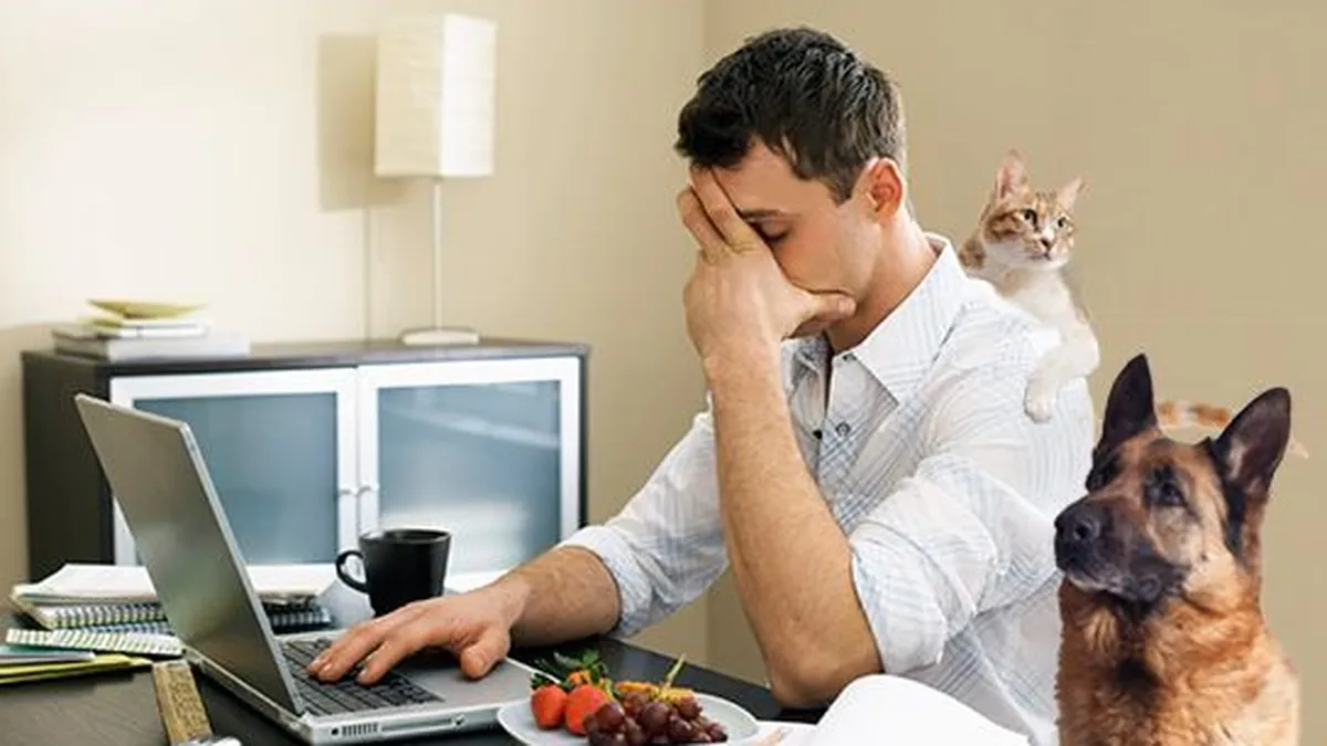 4 motive pentru care lucratul de acasa nu e chiar asa grozav precum crezi