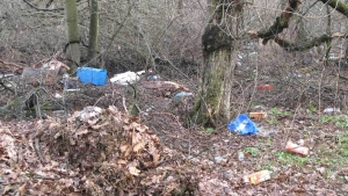 In iunie 2015 Romania va da socoteala privind schimbarile climatice in fata Conventiei ONU