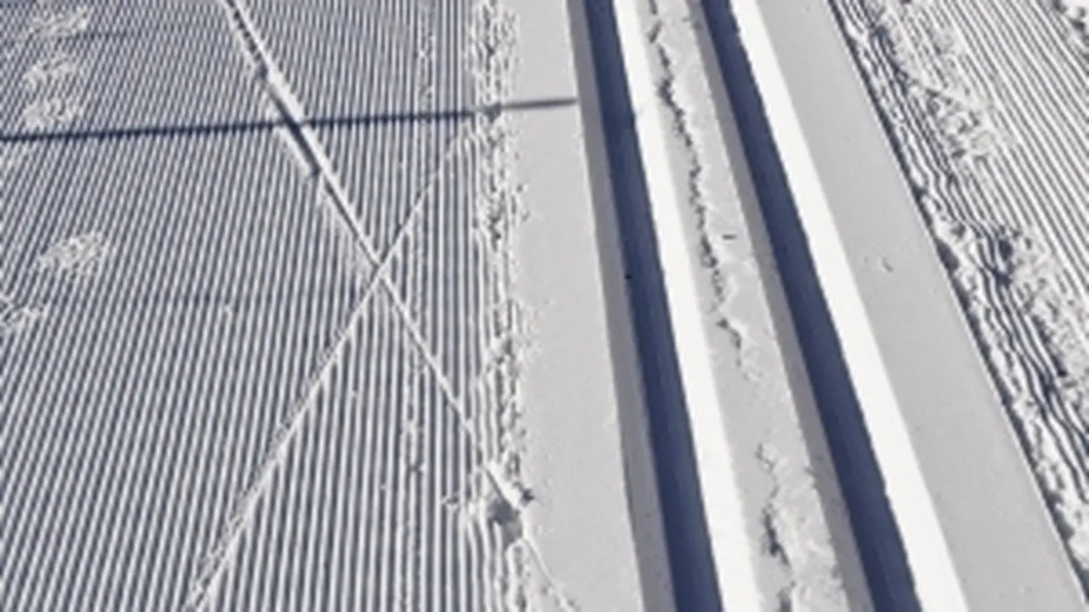 Care e starea partiilor de schi din tara