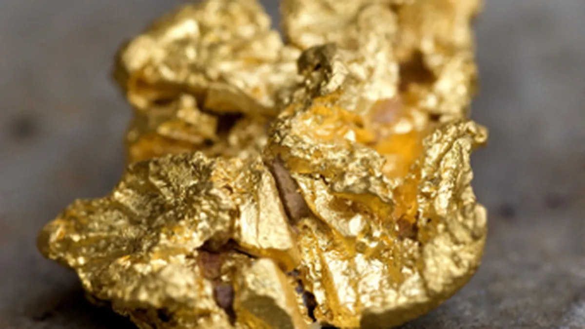 Alburnus Maior: Investitorii Gabriel Resources sa dea in judecata proprii angajati care i-au dus cu zaharelul ani de zile