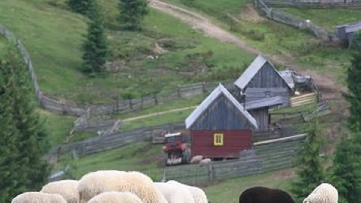 Turistii pentru care lipsa de infrastructura din Romania reprezinta o atractie