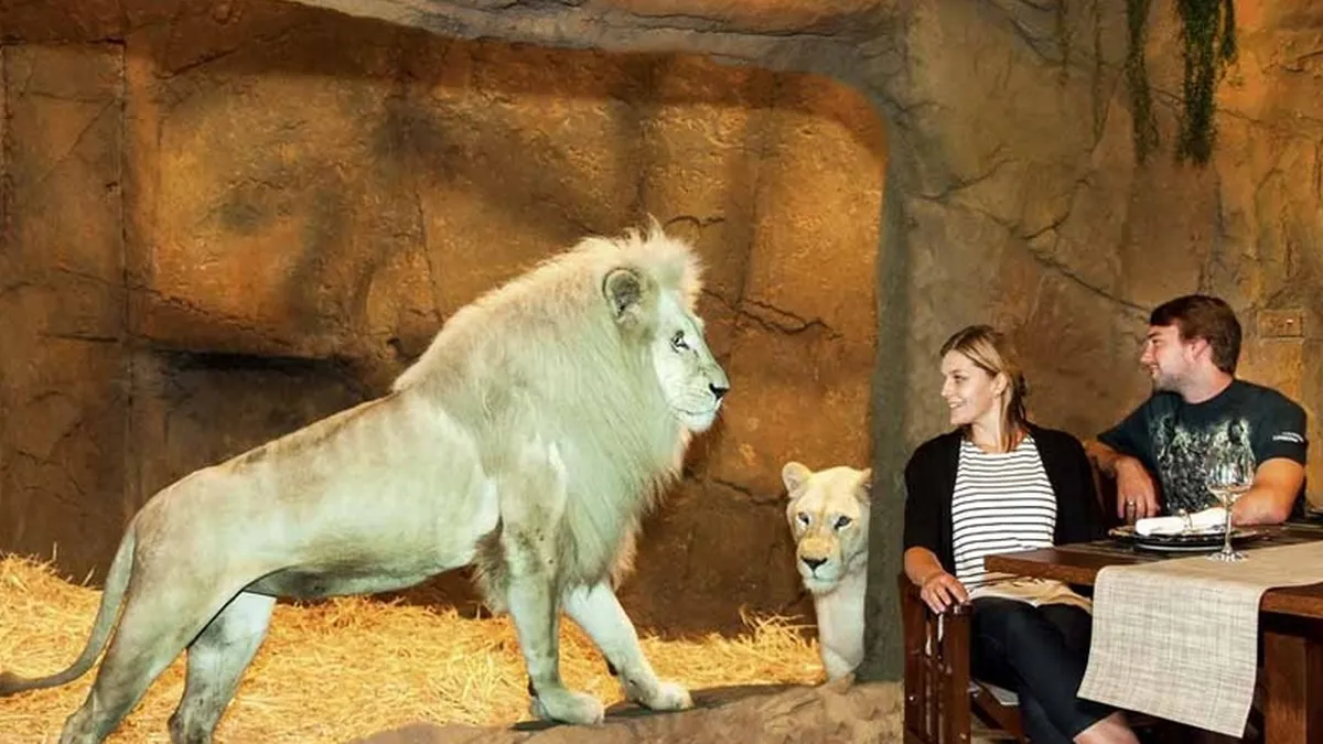 Hotelul unde cinezi cu leii si faci baie cu ursii (Galerie Foto)