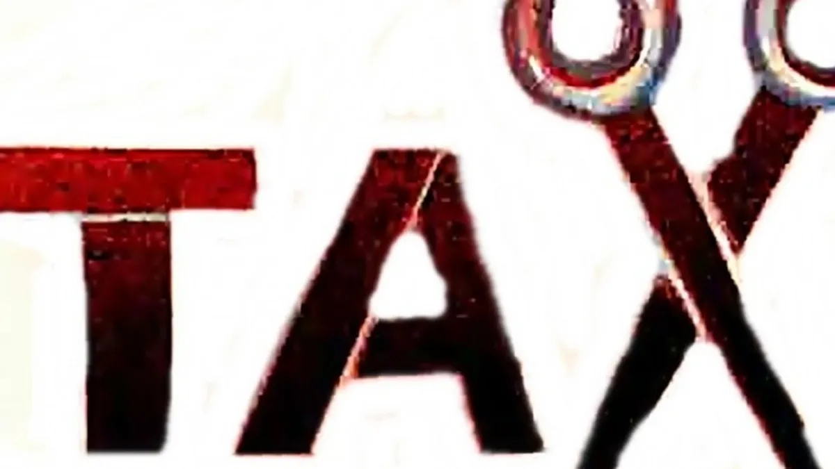 Reducerea TVA si a accizelor ar putea intra in vigoare chiar in acest an