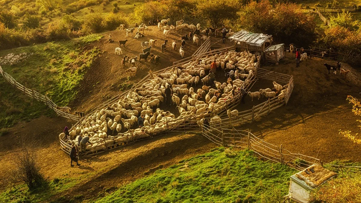 Cea mai buna imagine inscrisa de un roman la competitia foto organizata de Sony