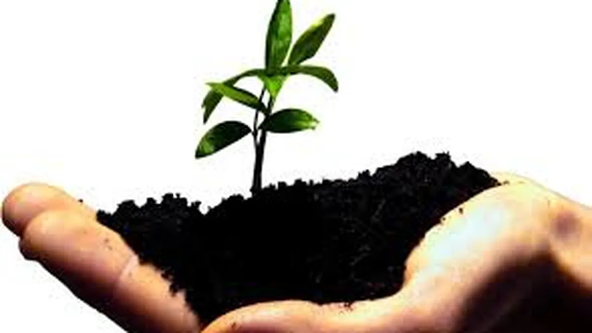 Cum sa pornesti un business in 6 pasi