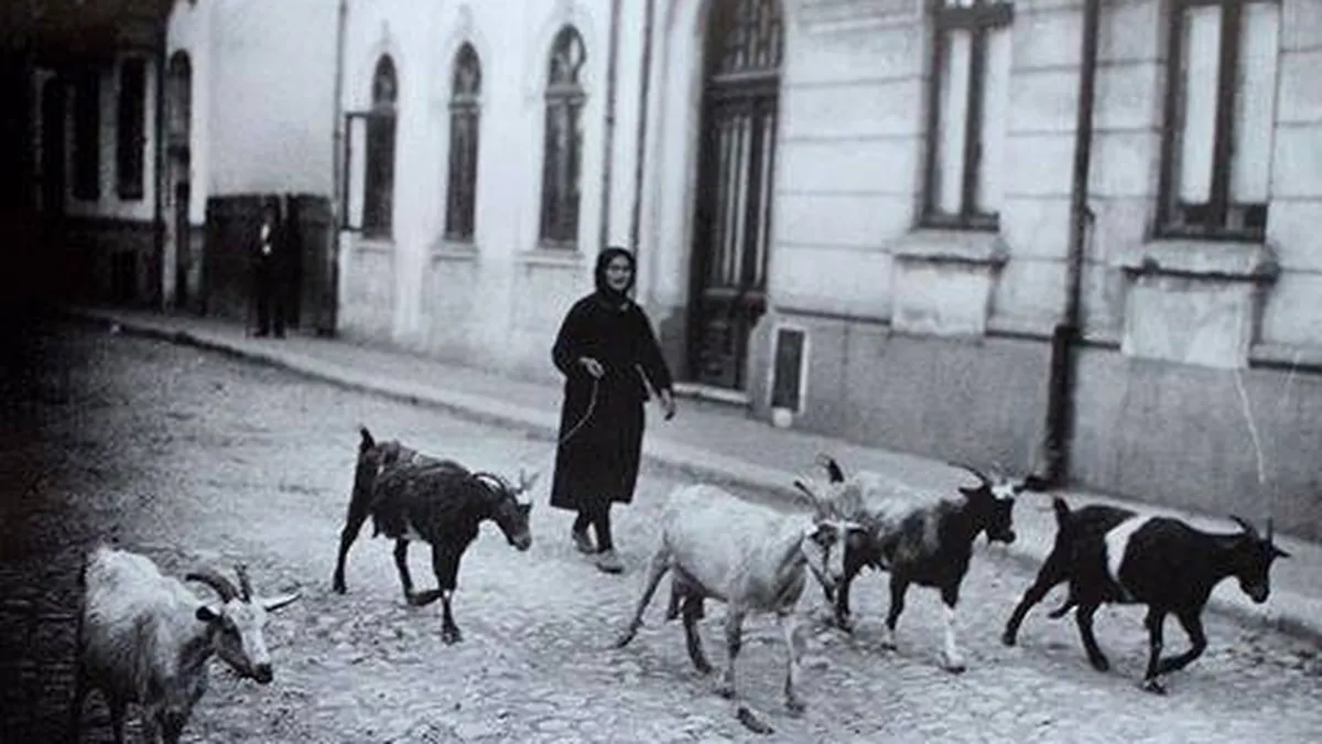 Prin Bucurestii lui Mircea Eliade: Traseu cultural cu istoria si povestile unor mahalale din Capitala