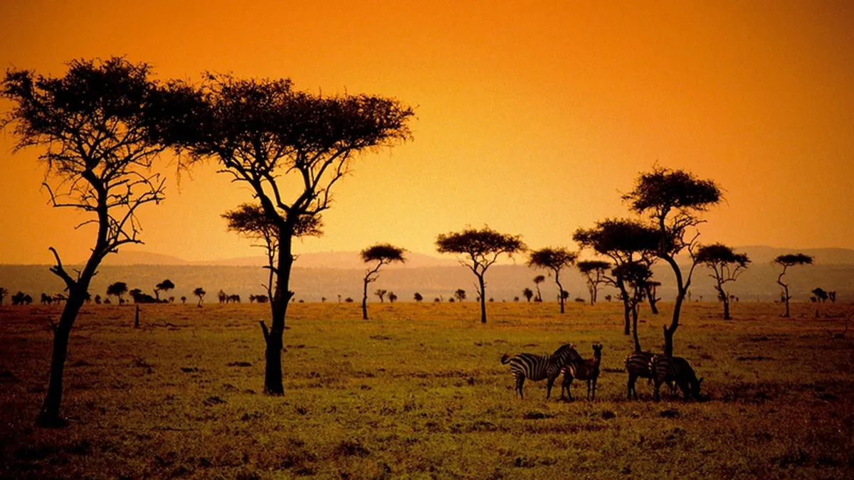 Ce profil au romanii care isi permit vacante de zeci de mii de euro