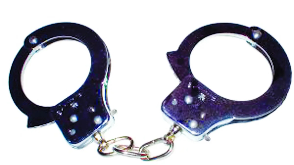 Darius Valcov si Radu Mazare, arestati preventiv