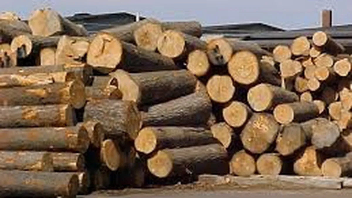 Industria mobilei din Romania, amenintata cu disparitia