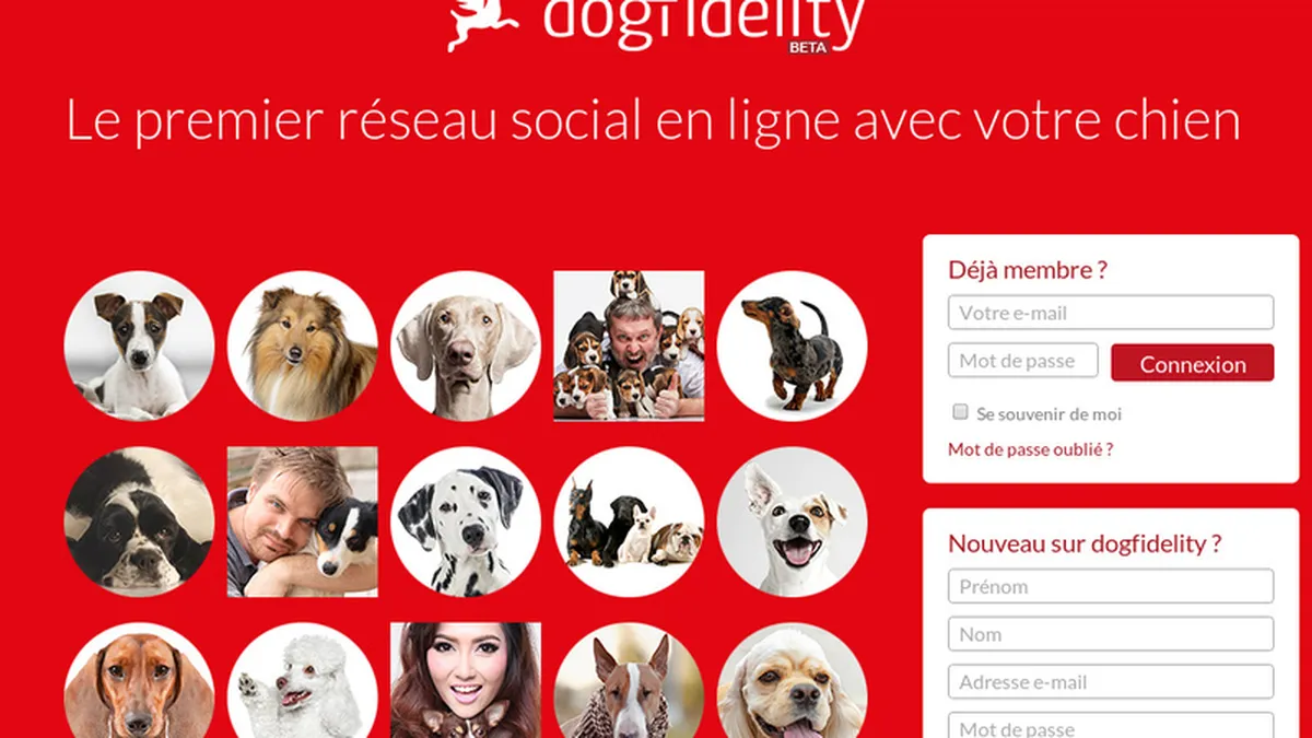 Facebook-ul cainilor. 3 francezi au lansat o retea de socializare pentru cei mai buni prieteni ai oamenilor