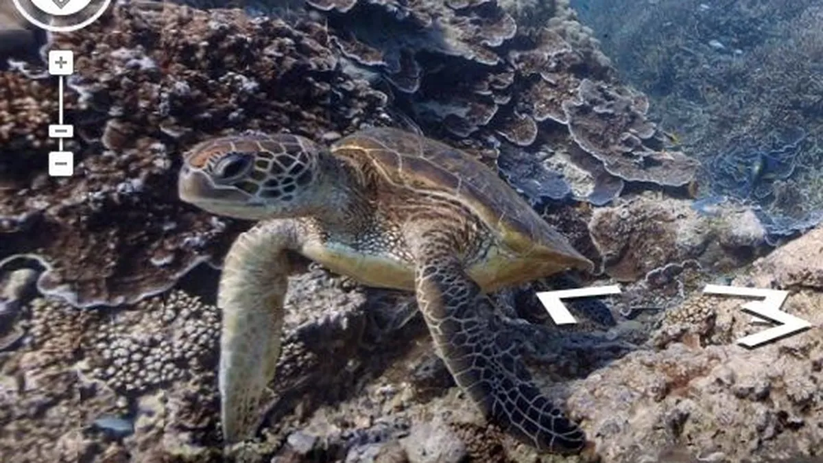 Google Street View a inceput sa exploreze situri subacvatice