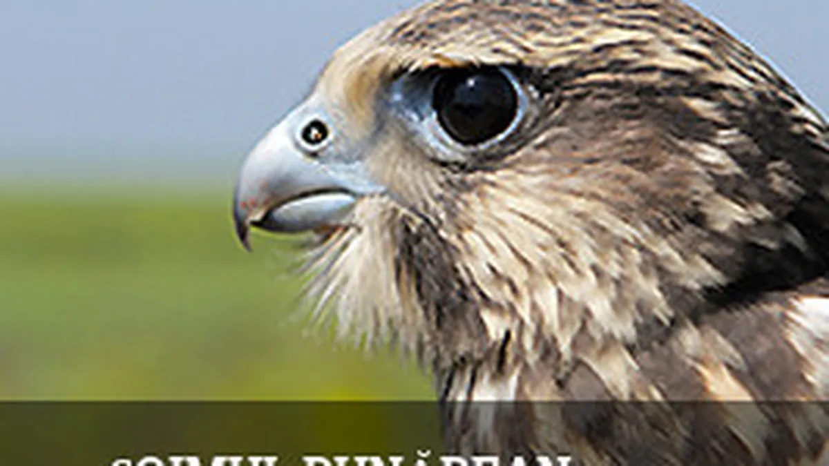 Prima camera video care transmite imagini dintr-un cuib de soim dunarean