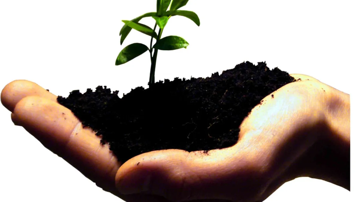 Cum sa fii productiv la inceput de drum: 15 sfaturi pentru proaspetii antreprenori