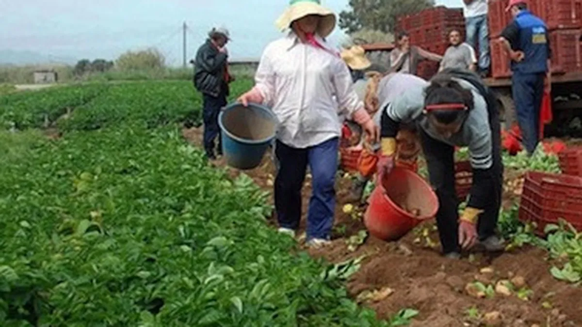 Ce se intampla cu romanii din Grecia in contextul lipsei de cash?