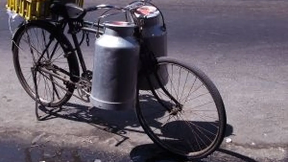 Ce cred femeile despre lactatele cu un conținut scăzut de grăsime