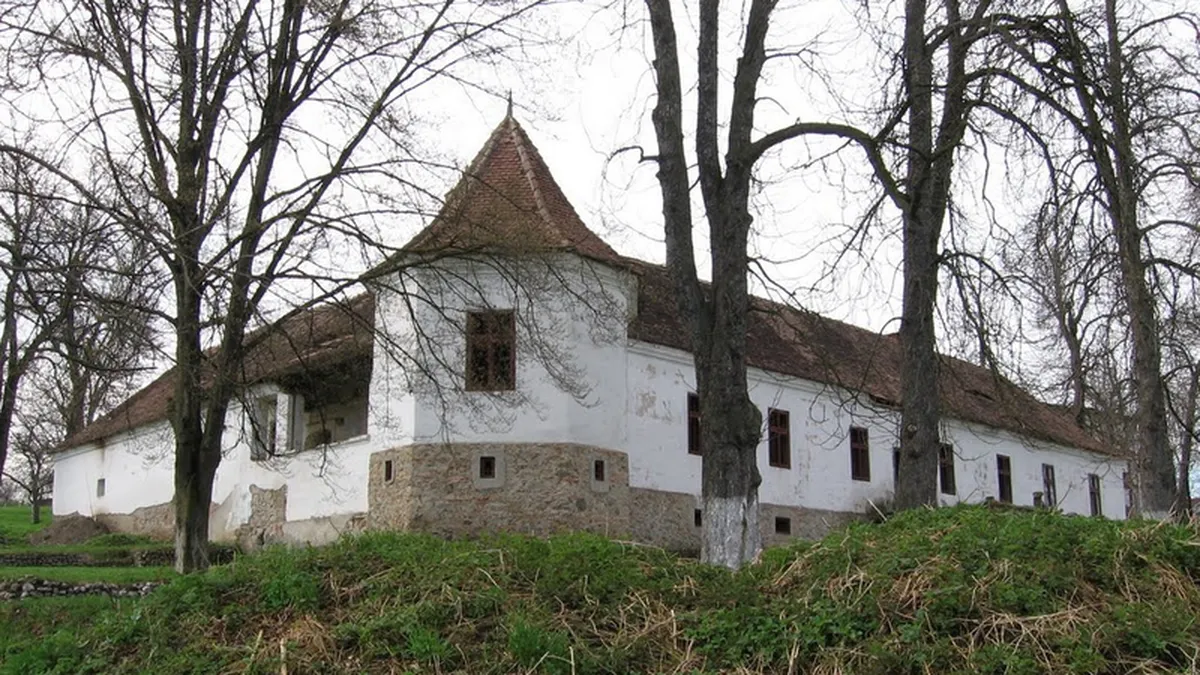 Castel vândut la preț de garsonieră