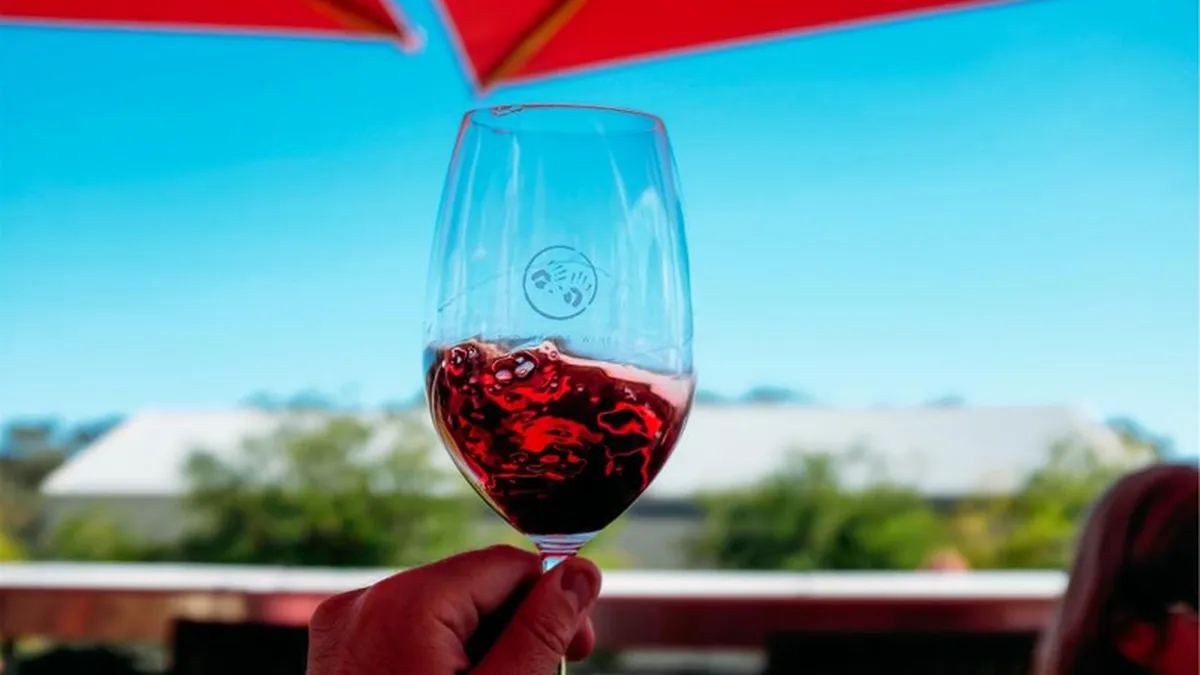 Proprietarul celei mai mari podgorii bio din regiune anunta vanzari cu 10% mai mari de vinuri organice