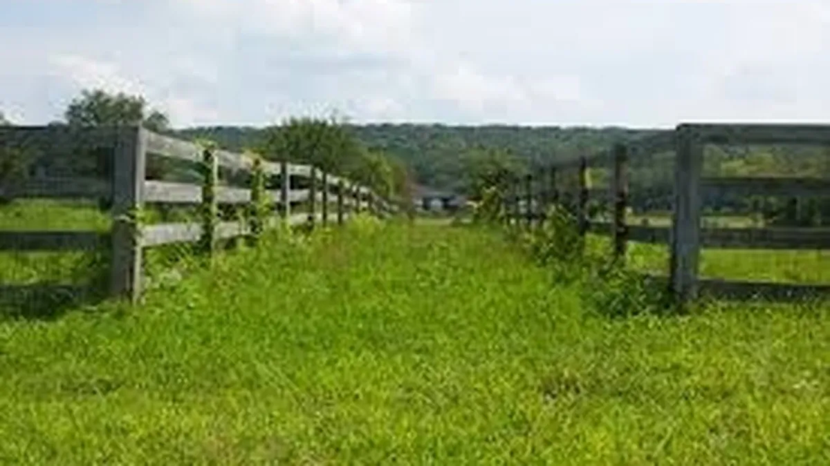 Cel mai mare teren disponibil la vanzare in Romania are 102 hectare. Vezi unde se afla