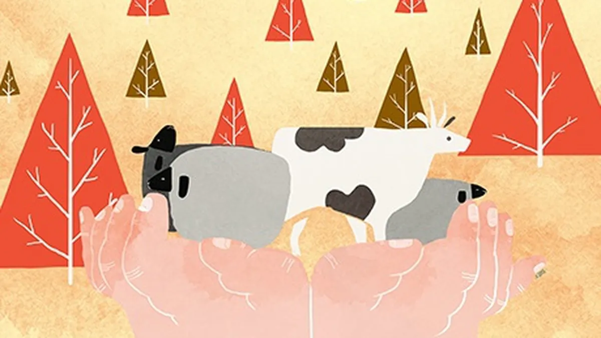 Muzeul Coruptiei din Romania: Spagi de la milioane de euro pana la o oaie