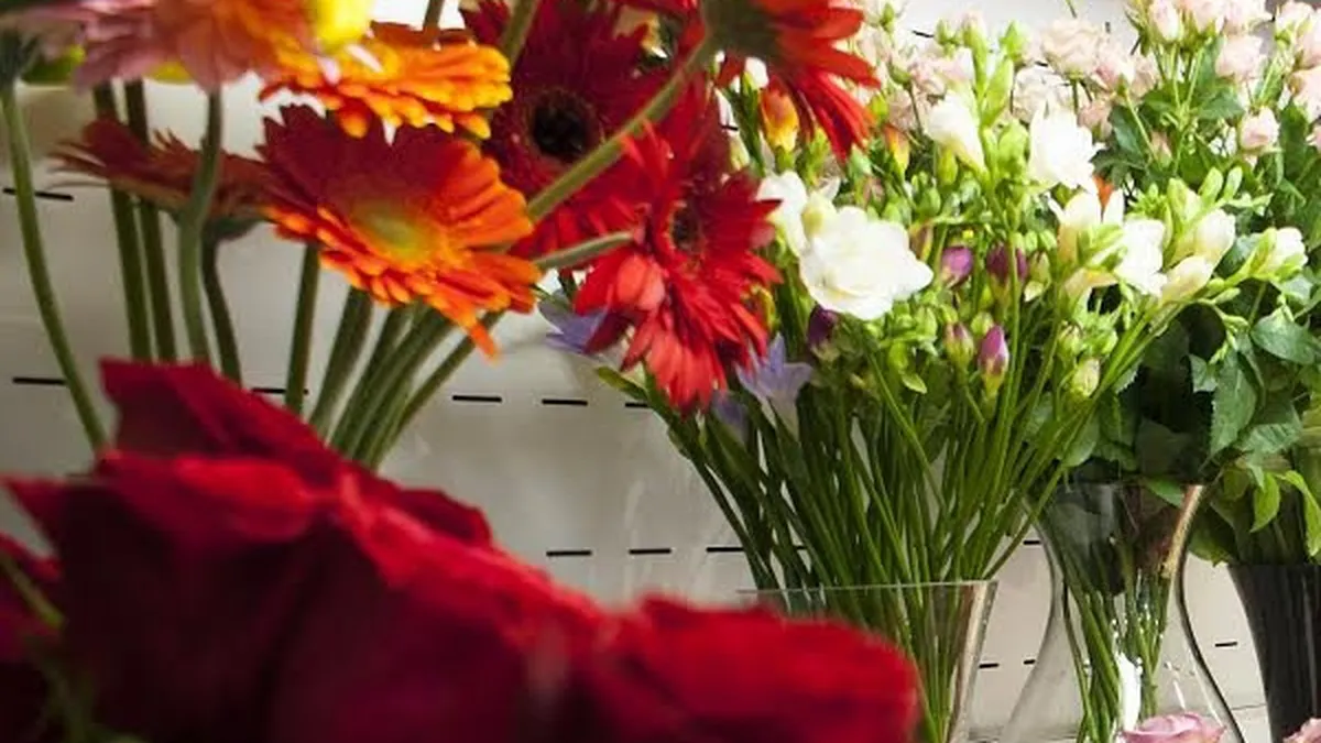 Floraria Magnolia deschide al 16-lea magazin propriu la Constanta