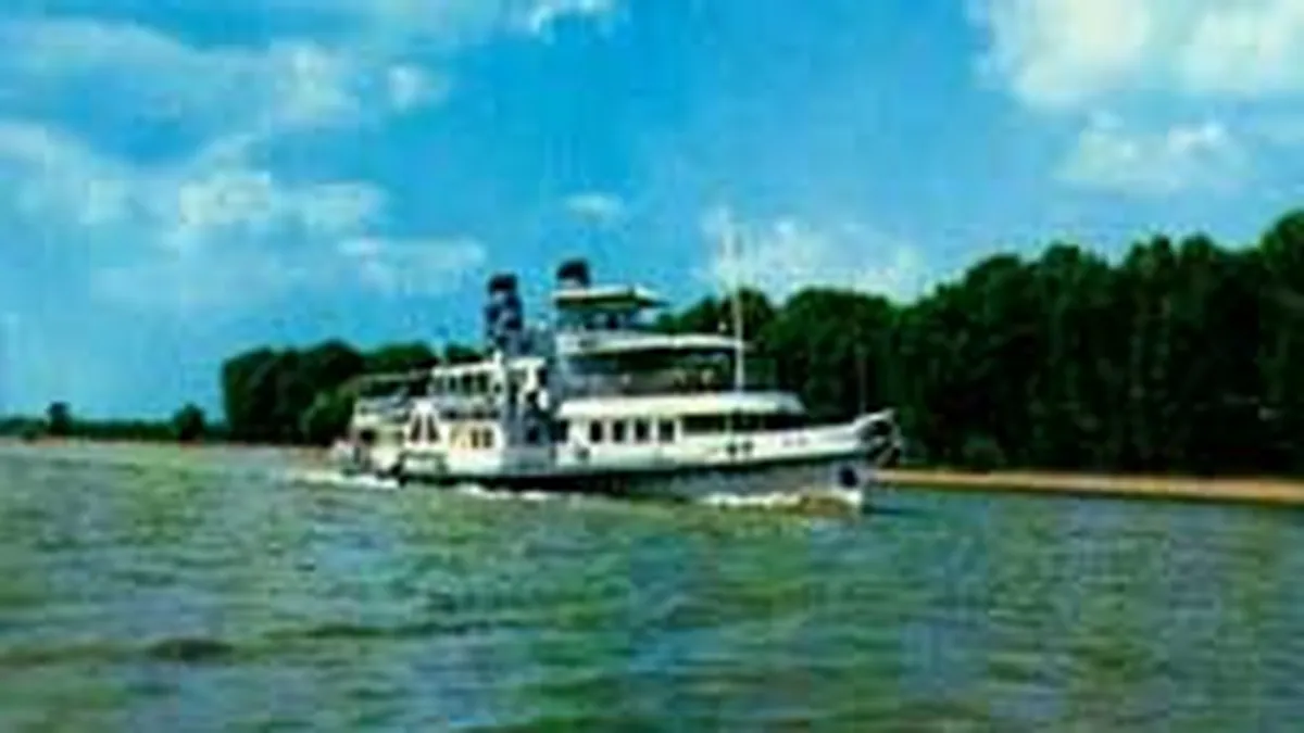 Piata care ar putea creste de 38 de ori anul acesta, daca va fi introdusa o masura pentru toti bugetarii