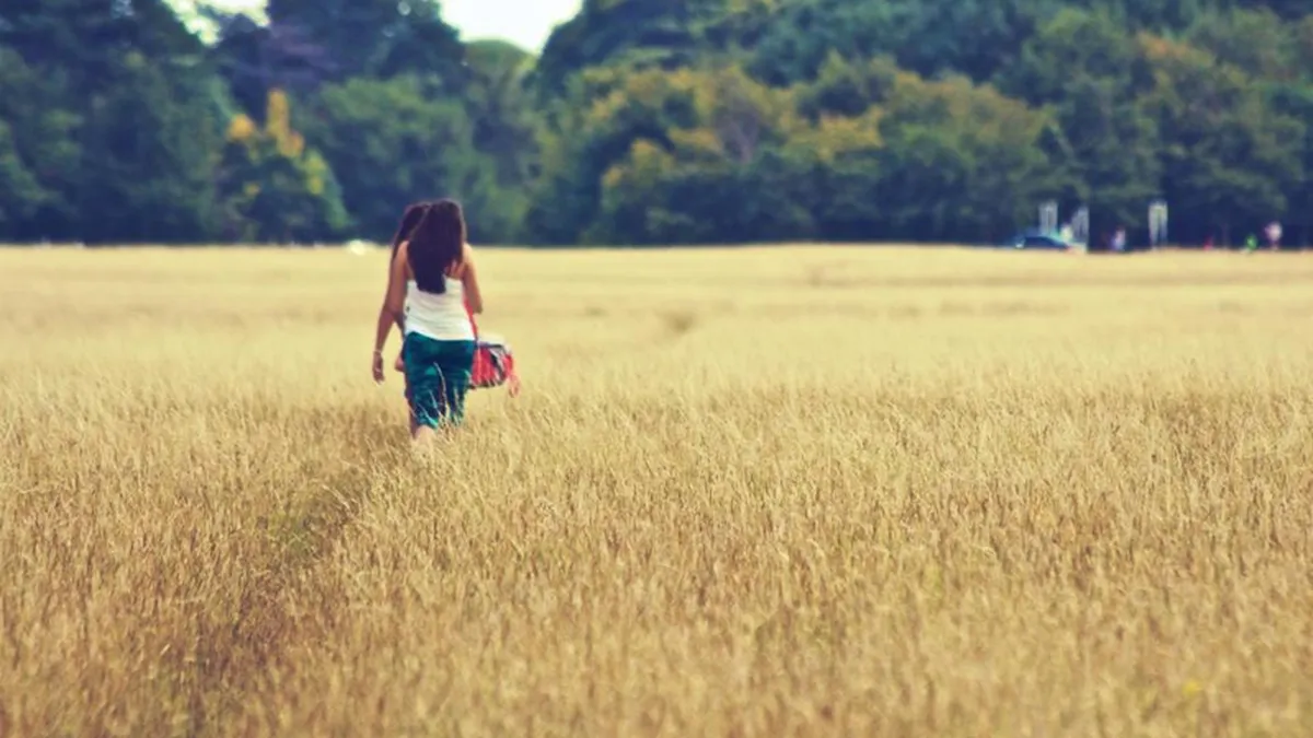 Romancele, campioane europene la deschiderea de afaceri in agricultura