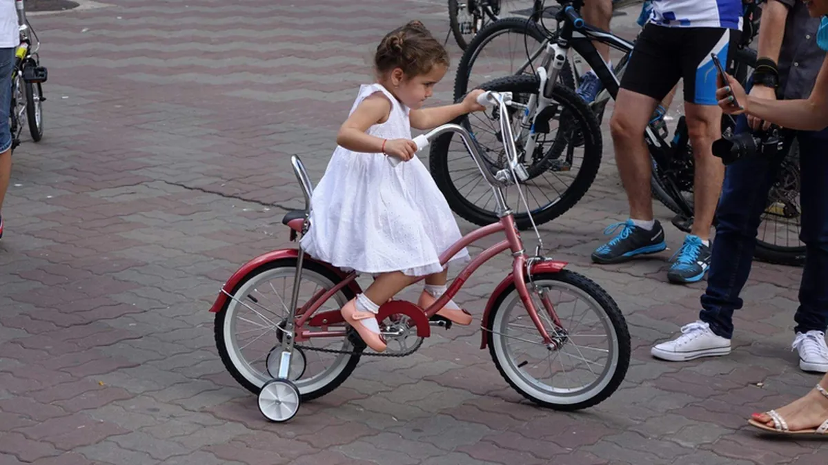 Pegas lansează sistemul de franciză