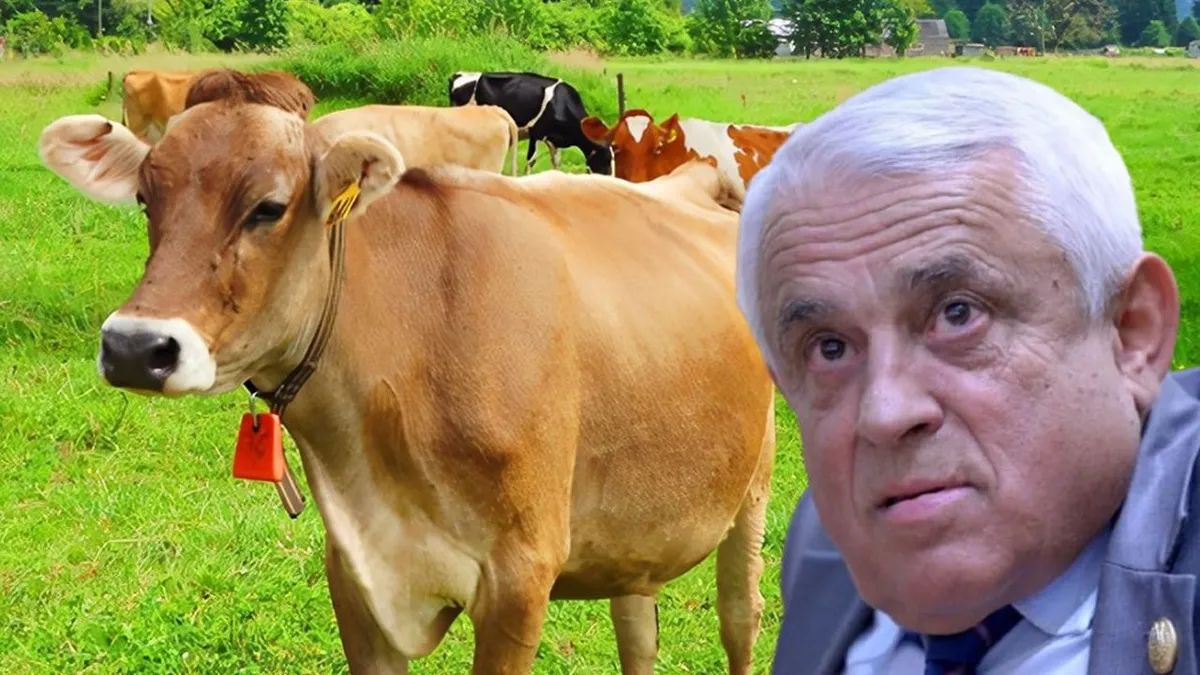 Crescătorii de taurine vor primi un sprijin record, de 44 milioane euro! Petre Daea: „Vaca este acum dușmanul numărul unul al planetei!”