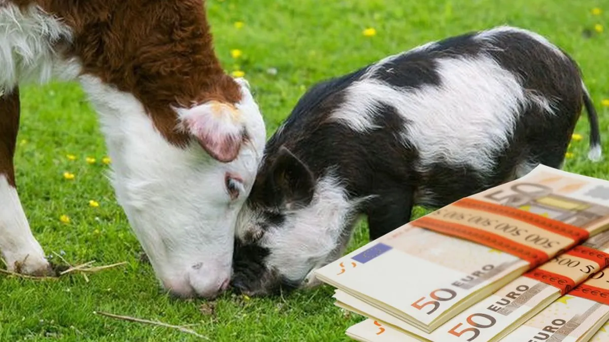 Ministrul Agriculturii face anunțul care poate influența prețul alimentelor „Este o subvenţie foarte bună, care vine în sprijinul fermierilor români”