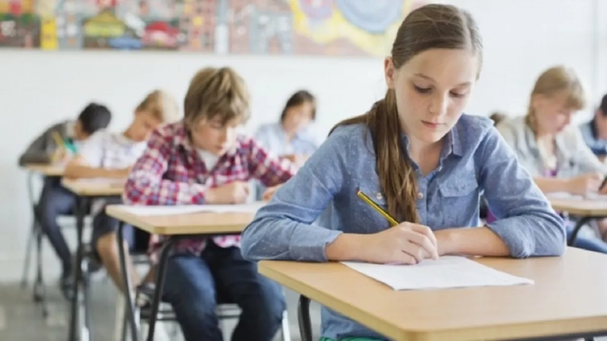 Legile Educației, în dezbaterea finală. „S-a avut în vedere expertiza instituțiilor de la nivelul UE”