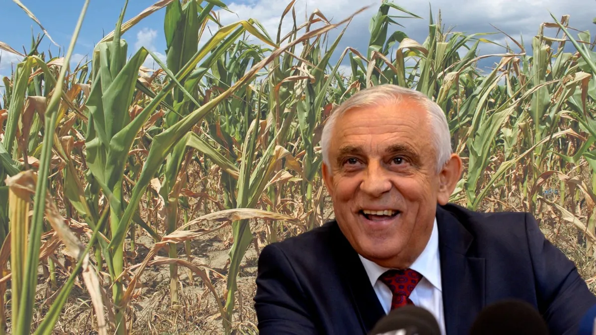 Petre Daea: „Acordăm despăgubiri de secetă de 1500 de lei la hectar!” Asociația Forța Fermierilor cere mai mult